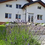 Apartment 43