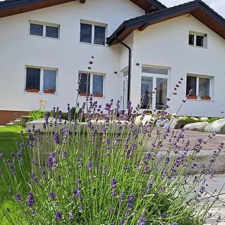 Апартаменты 43